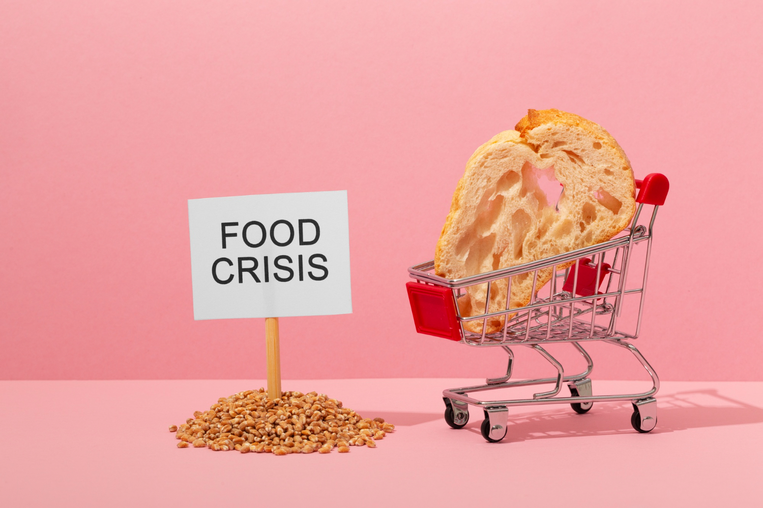 food crisis